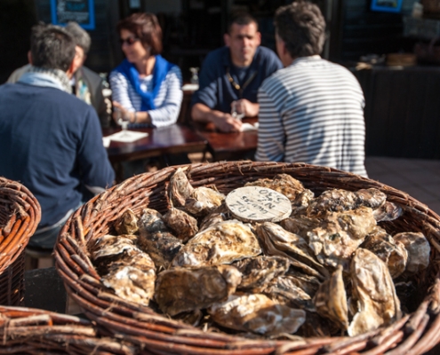 Excursions et visite en bord de mer